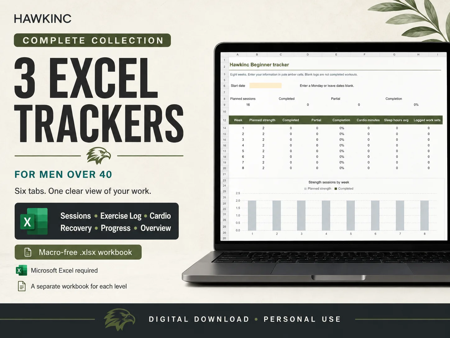Calisthenics workout tracker Excel workbook with six tabs: sessions, exercise log, cardio, recovery, progress and overview, macro-free xlsx for each level